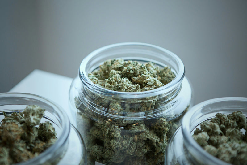 THCa Flower Explained: The Ultimate Guide