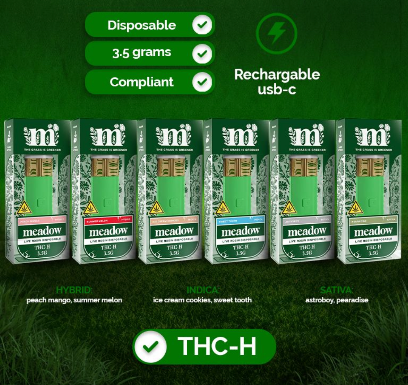 THCH Disposables Bundle